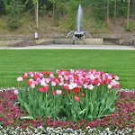 Hotel Augustenhof 3*