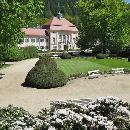 酒店 Augustenhof 3*