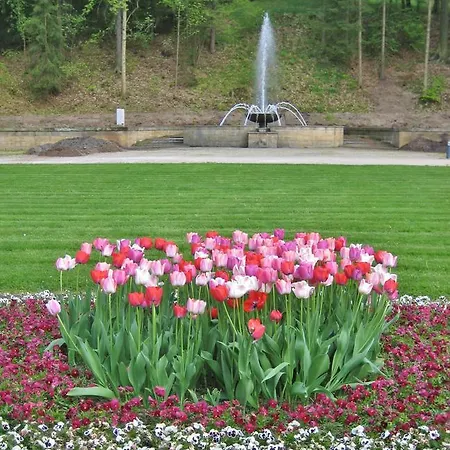 فندق Augustenhof 3*